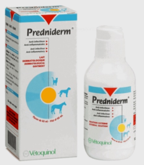 prednisolone